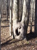 Enlarge photo 35