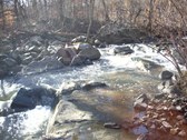 Enlarge photo 36