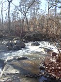 Enlarge photo 37