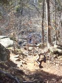 Enlarge photo 38