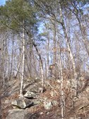 Enlarge photo 41