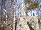 Enlarge photo 42