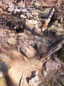 Enlarge photo 9