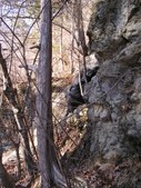 Enlarge photo 16