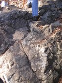 Enlarge photo 17