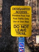 Duke Forest Hike