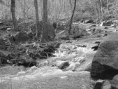 Enlarge photo 44
