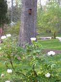 Enlarge photo 11