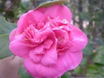 Enlarge photo 7