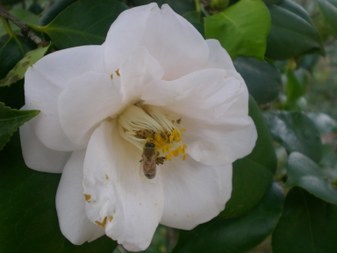 Enlarge photo 2