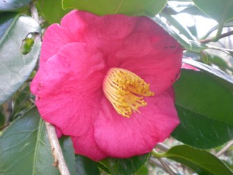 Enlarge photo 4