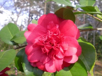 Enlarge photo 9