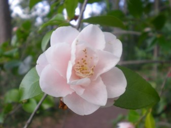 Enlarge photo 15