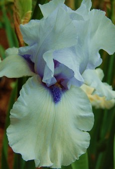 Enlarge photo 24