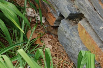 Enlarge photo 31