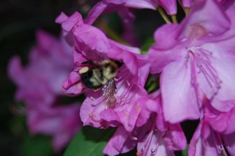Enlarge photo 49
