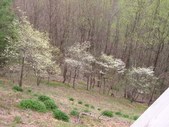Enlarge photo 25