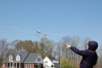 Enlarge photo 45
