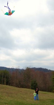 Enlarge photo 17