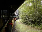 Enlarge photo 85