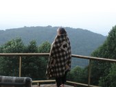 Enlarge photo 90