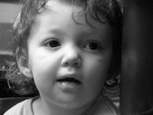 Enlarge photo 107