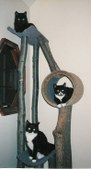 Enlarge photo 49