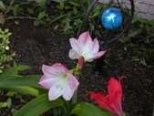 Enlarge photo 45