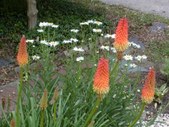 Enlarge photo 26