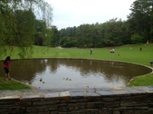 Enlarge photo 149