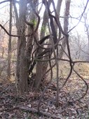 Enlarge photo 9