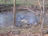 Enlarge photo 20