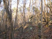 Enlarge photo 25