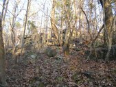 Enlarge photo 26