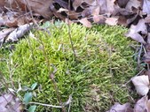 Enlarge photo 34