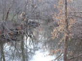 Enlarge photo 35