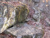 Enlarge photo 37