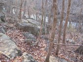 Enlarge photo 38