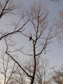 Enlarge photo 41