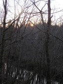 Enlarge photo 48