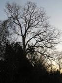 Enlarge photo 49