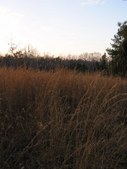 Enlarge photo 50