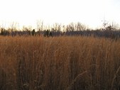 Enlarge photo 51