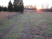 Enlarge photo 52