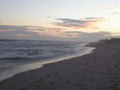 Enlarge photo 37