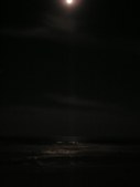 Enlarge photo 40