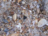 Enlarge photo 44