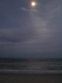 Enlarge photo 45