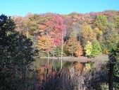 Enlarge photo 31