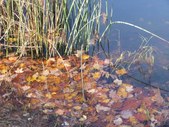 Enlarge photo 33